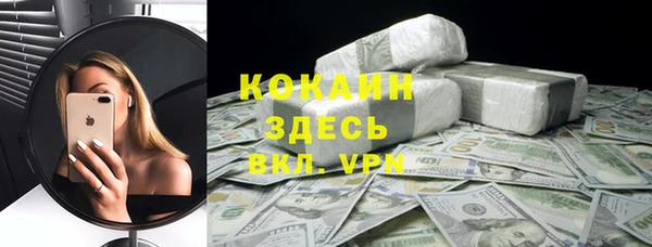 кокс Алексин