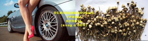 кокаин премиум Алексеевка