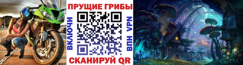 Псилоцибиновые грибы ЛСД  как найти закладки  Заозёрный 